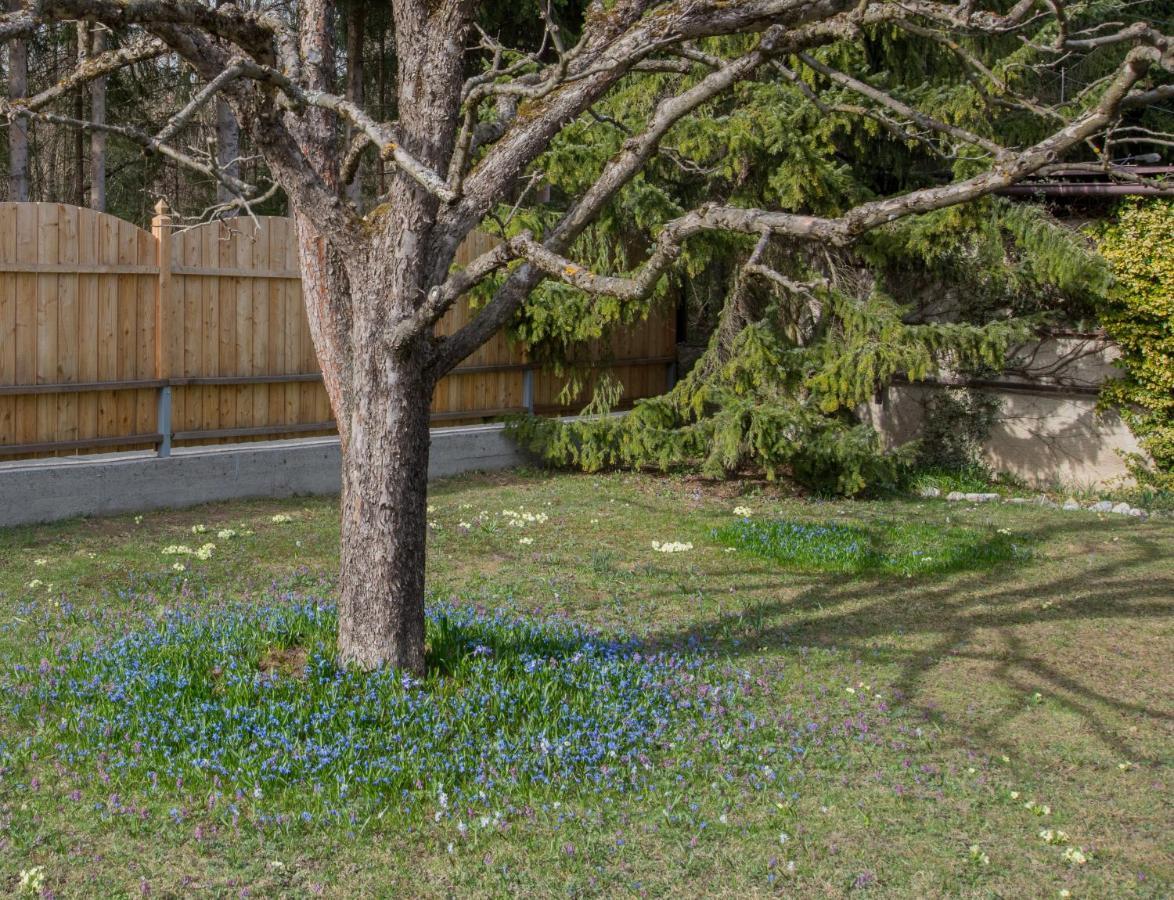 Garten Appartement Harmony Finkenstein am Faaker See Bagian luar foto