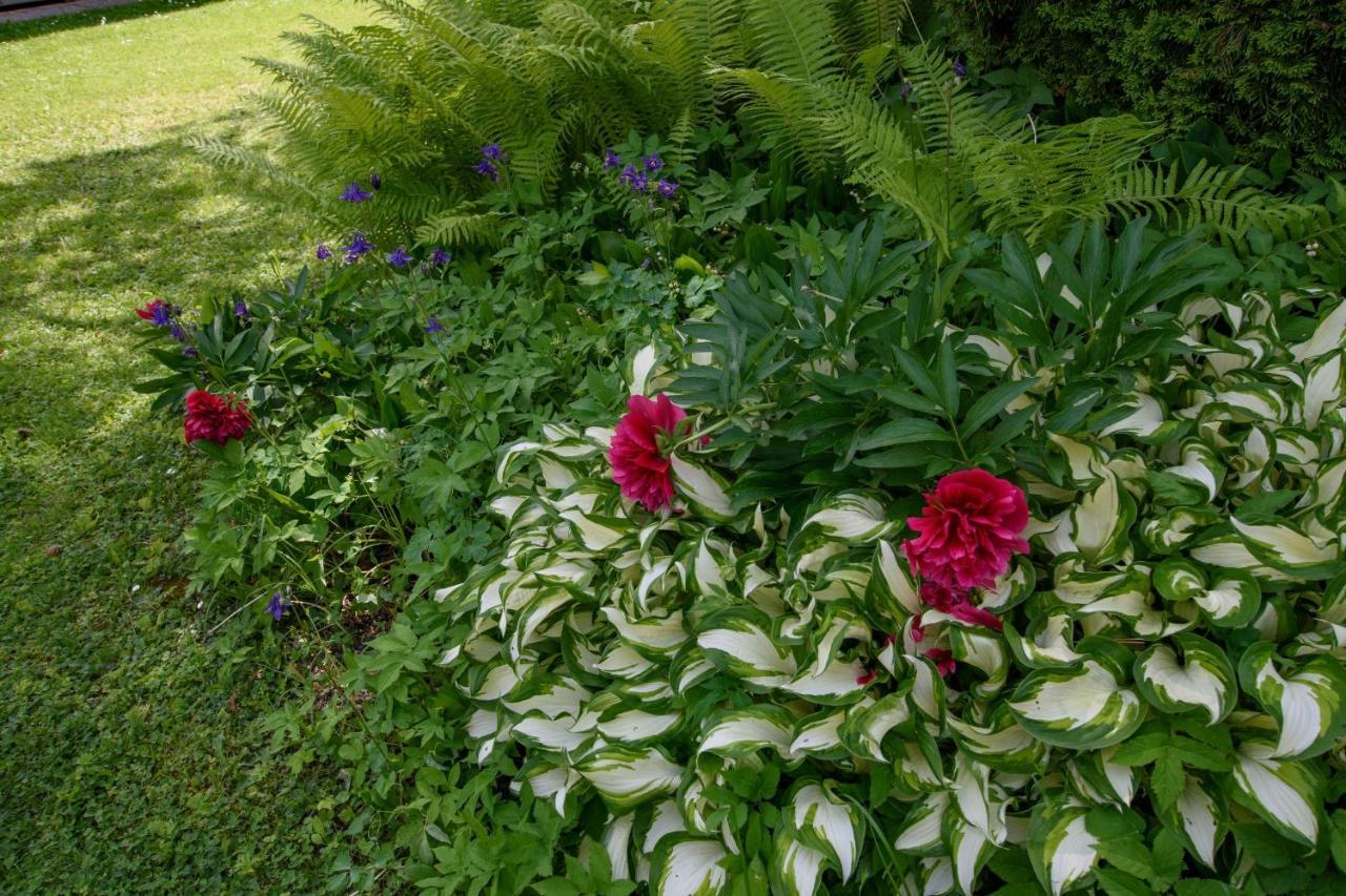 Garten Appartement Harmony Finkenstein am Faaker See Bagian luar foto